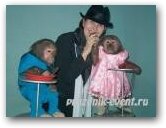  » Увеличить -> праздник