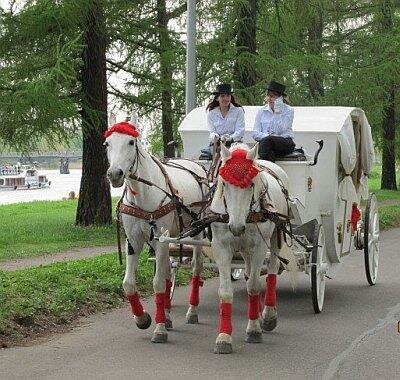 Дня рождения ЦПКиО