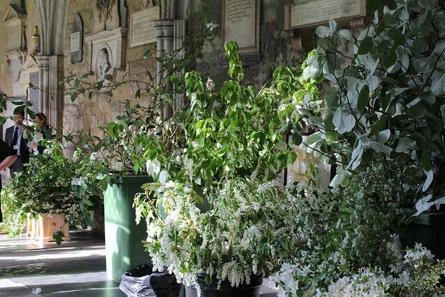 королевская свадьба Королевская свадьба